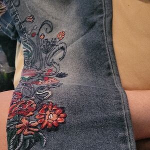 Seven7 Blue and Red Skinny Jeans with Embroidered Accents